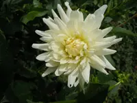 103.webp