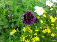 P1060003.webp