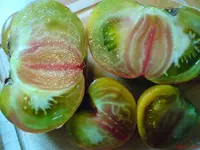 DSC01124.webp