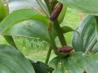 DSCF0449.webp