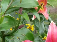 DSCF0450.webp