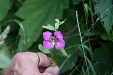 DSC05864.webp