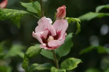 DSC05863.webp