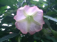 PIC00271.webp