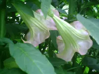 PIC00272.webp
