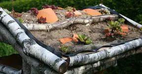 bewurztes Vogelhausdach1_kleiner.webp