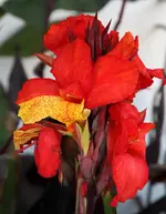IMG_8186.webp