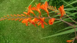 K800_20. Juli 245.webp