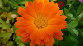K800_20. Juli 247.webp
