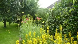 K800_20. Juli 254.webp