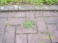 100_2780.webp