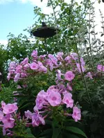 DSC04123.webp