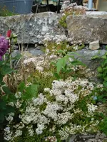 DSC04124.webp