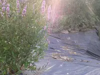 2011-07-19 18.58.01.webp