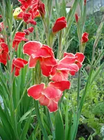 DSCN1998.webp