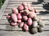 DSCN1971.webp