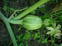 DSCN1986.webp