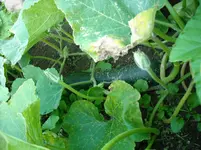 DSCN1985.webp