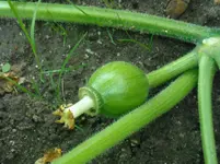 DSCN1983.webp