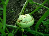 DSCN1988.webp