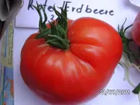 BILD0065.webp