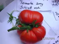 BILD0066.webp