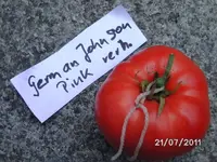 BILD0070.webp