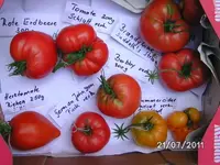 BILD0062.webp