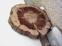 kunst im garten 008.webp