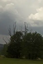 21.7.11 Test (5 von 9).webp