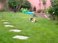 21072011158.webp