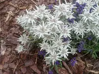 200720113208.webp
