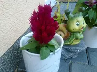 200720113210.webp