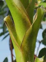 Juli 2011 025.webp