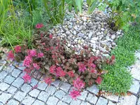 DSCN0559.webp