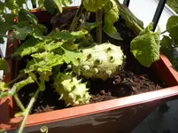 DSCN1965.webp
