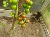 DSC02082.webp