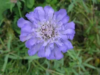 IMG_5662_1067x800.webp