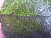 P1050397.webp