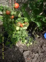 JD500544.webp