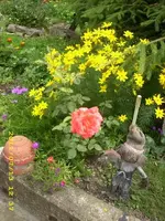 JD500559.webp