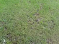 k-2011-07-22 19.55.44.webp