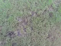 k-2011-07-22 19.55.56.webp