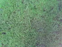 k-2011-07-22 19.56.21.webp