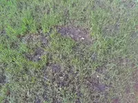 k-2011-07-22 19.56.29.webp