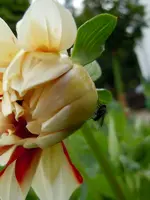 002.webp