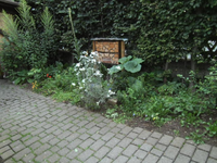 Insektenhotel 1.webp