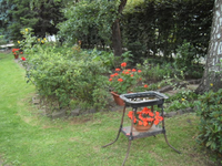 Vogeltränke.webp