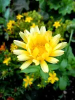 020.webp