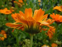 024.webp